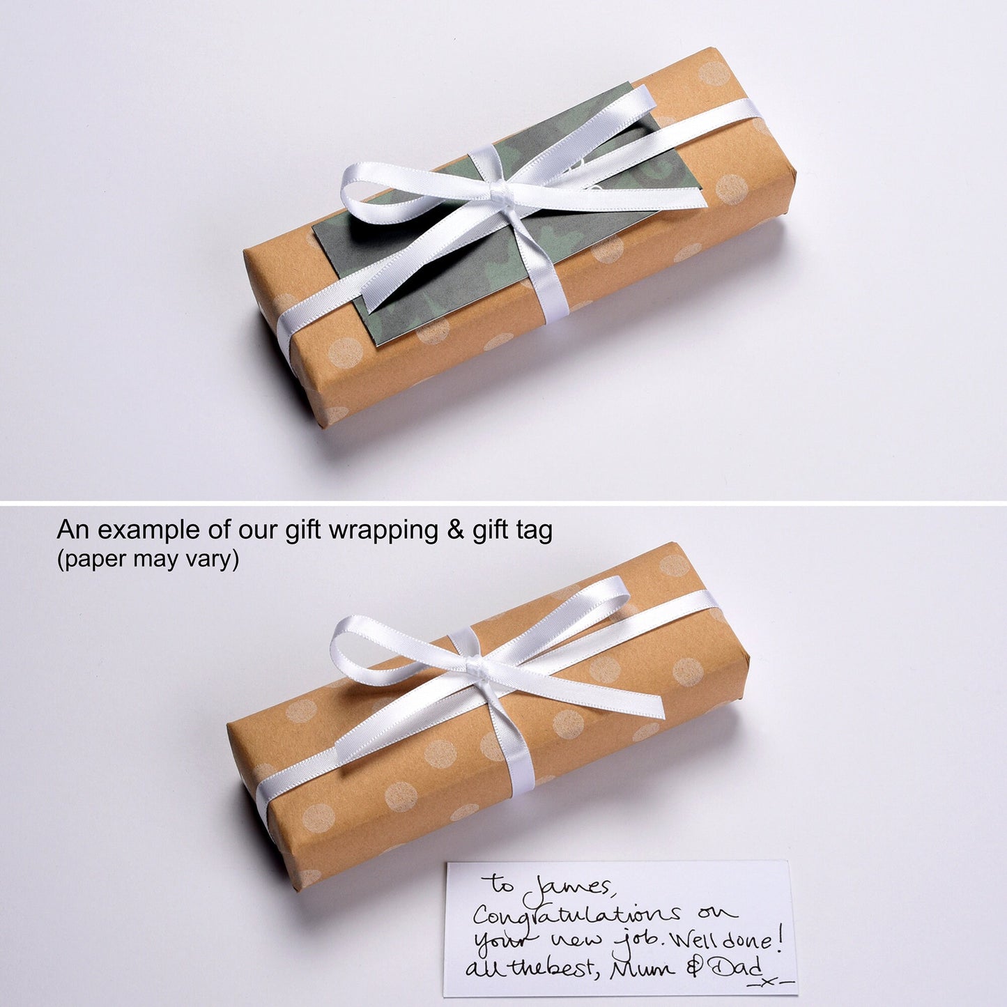 Dive Into A New Chapter Dolphin Tail Bookmark Gift
