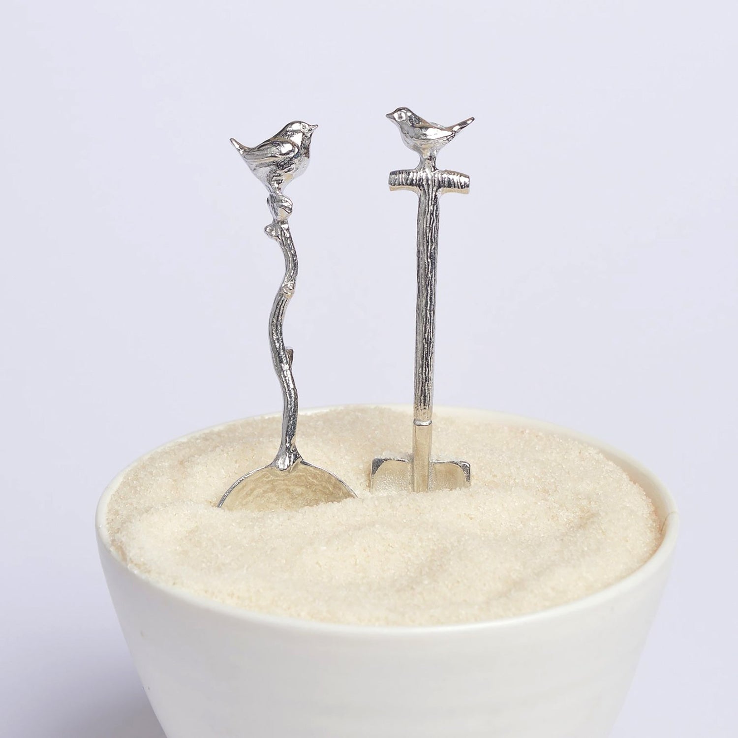 Wren and robin on a spade spoons in a sugar bowl