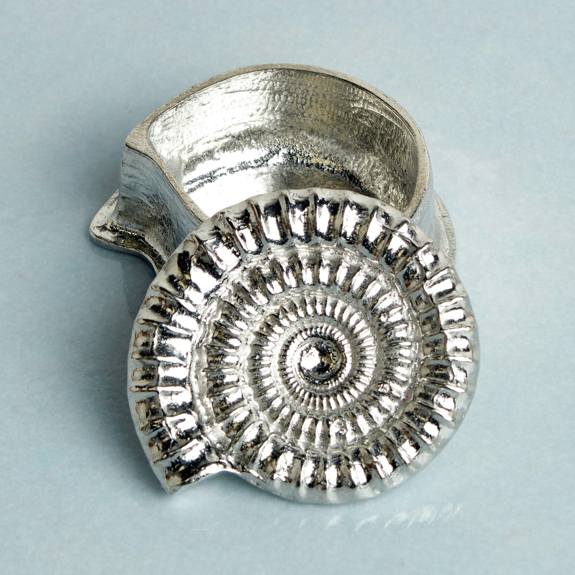 Ammonite pewter trinket box. A small fossil shaped keepsake box in the shape of an ammonite fossil. We used a real ammonite found in Dorset to capture the true texture and feel of a real fossil. Geology gifts made in Britain.