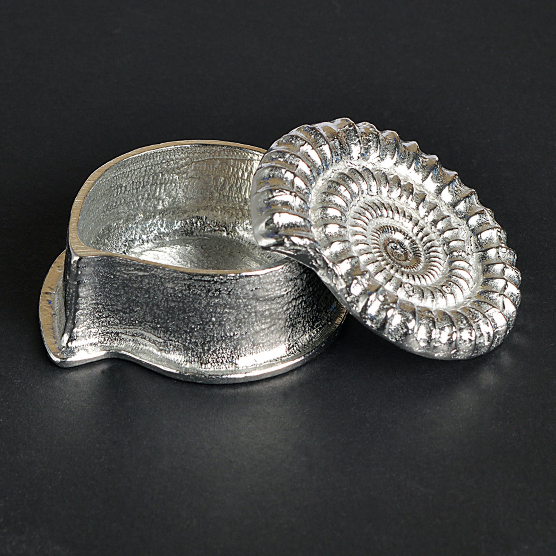 Ammonite pewter trinket box. A small fossil shaped keepsake box in the shape of an ammonite fossil. We used a real ammonite found in Dorset to capture the true texture and feel of a real fossil. Geology gifts made in Britain.