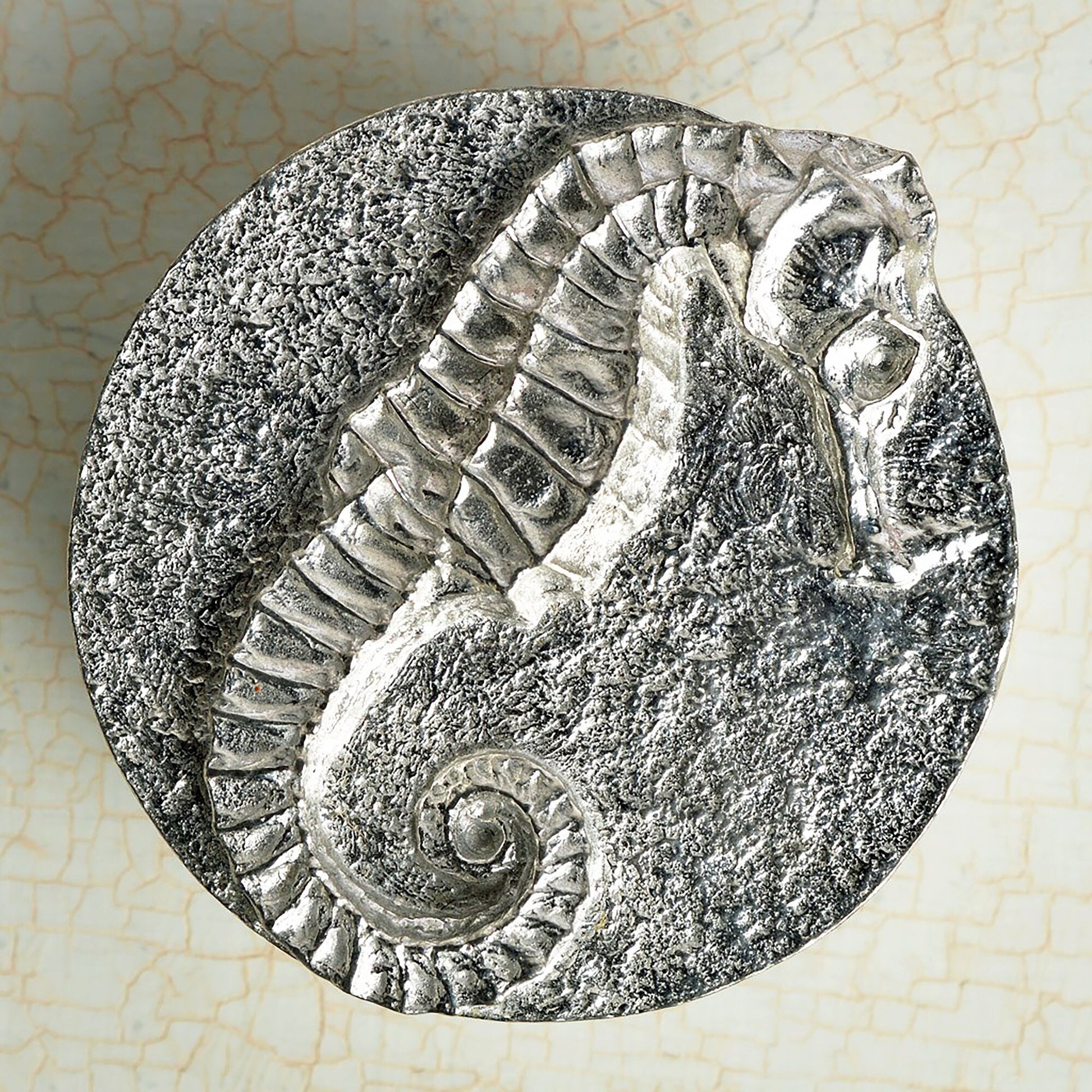 A round  pewter trinket box with a seahorse on the lid. Nautical gifts for lovers of the seaside and sea life. Seahorse gifts, gifts for seahorse lovers.