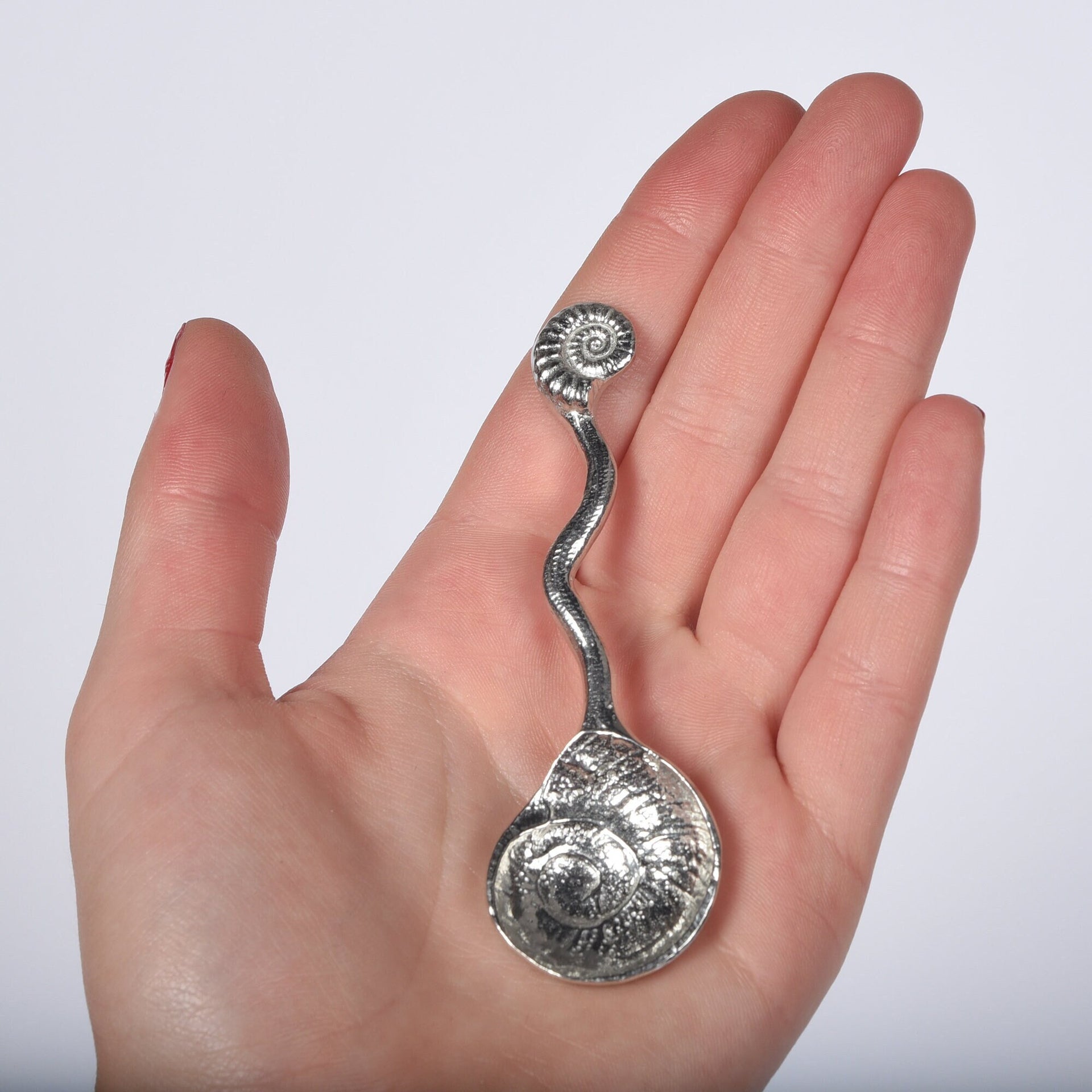 Ammonite Fossil Small Spoon | Ammonite Sugar Spoon | Useful Gifts