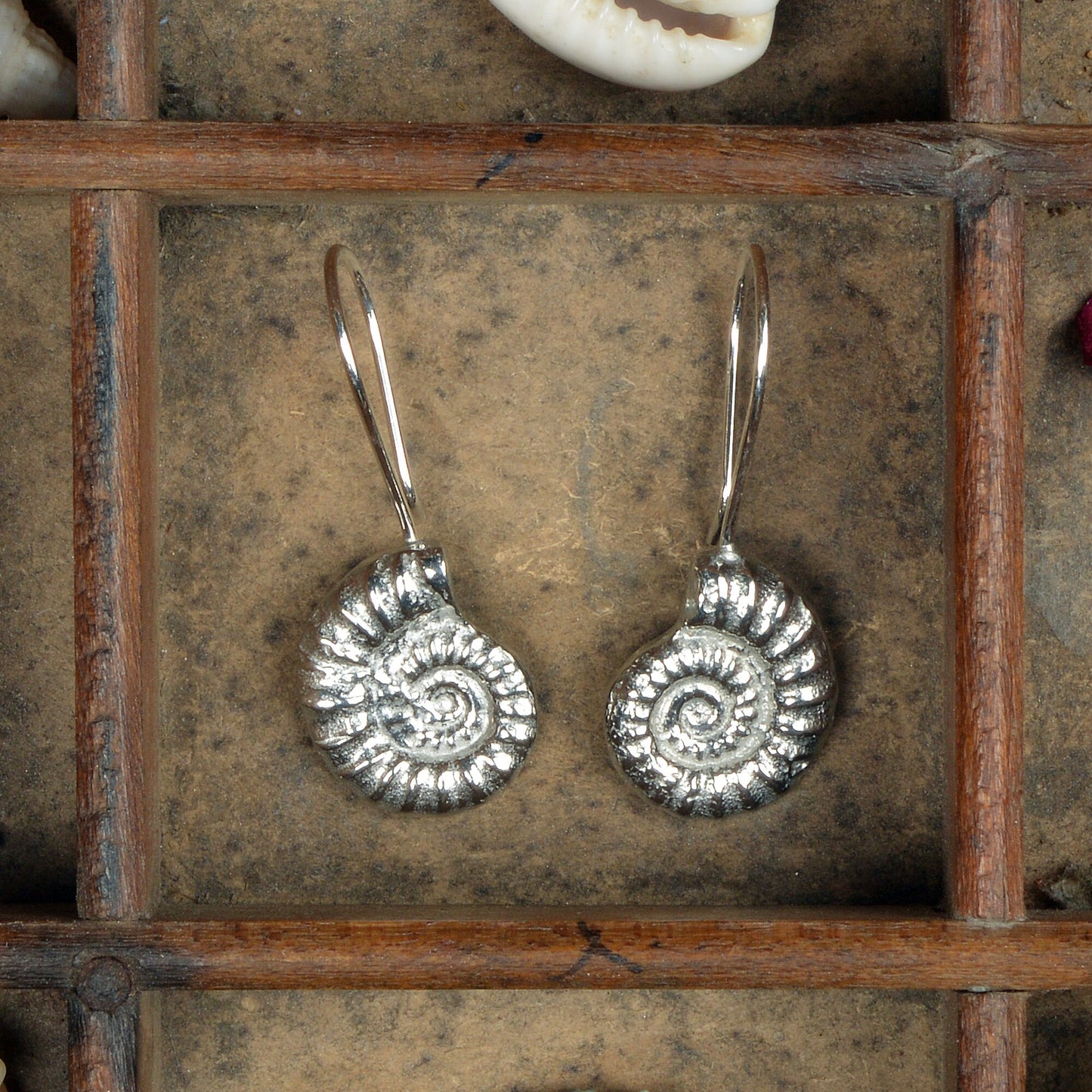 Ammonite drop earrings, pewter ammonite fossils on Sterling silver ear hooks. Pewter and silver ammonite jewellery gifts, handmade in the UK by Glover and Smith