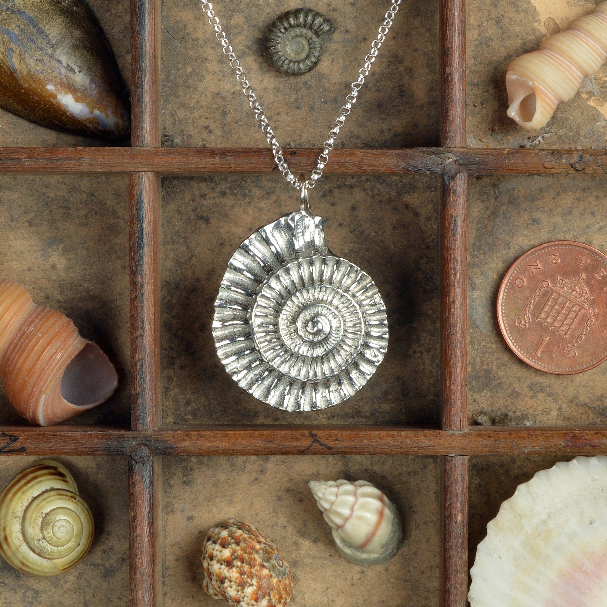 Ammonite gifts sale