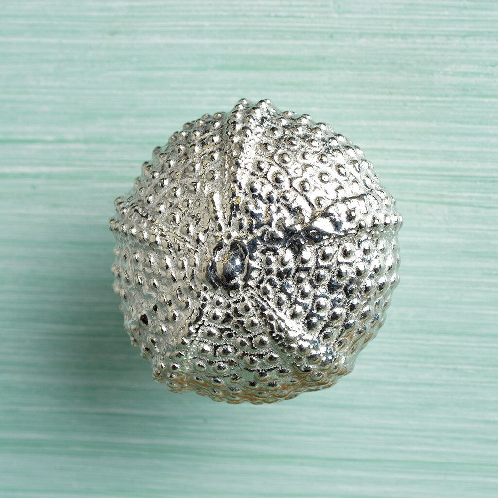 A solid pewter cabinet handle, cupboard knob, furniture handle or drawer pull in the shape of a detailed sea urchin pod. Organic, unusual handles UK handmade with finesse