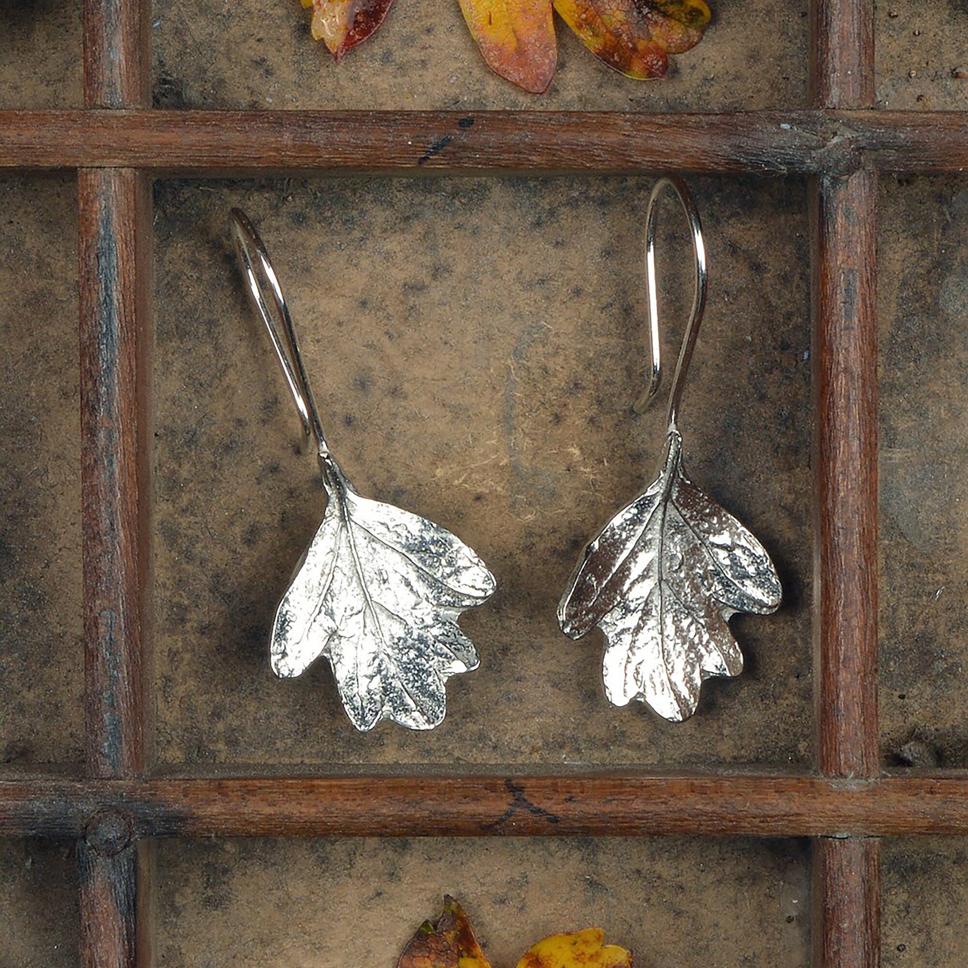 Hawthorn leaf drop earrings, pewter hawthorn leaves on Sterling silver ear hooks. Pewter and silver leaf jewellery gifts, handmade in the UK by Glover and Smith