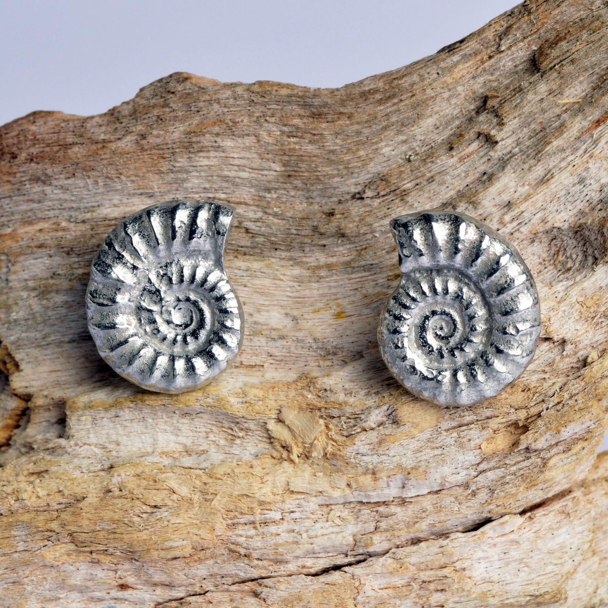 Ammonite stud earrings, pewter ammonite fossils on Sterling silver stud posts. Pewter and silver ammonite jewellery gifts, handmade in the UK by Glover and Smith