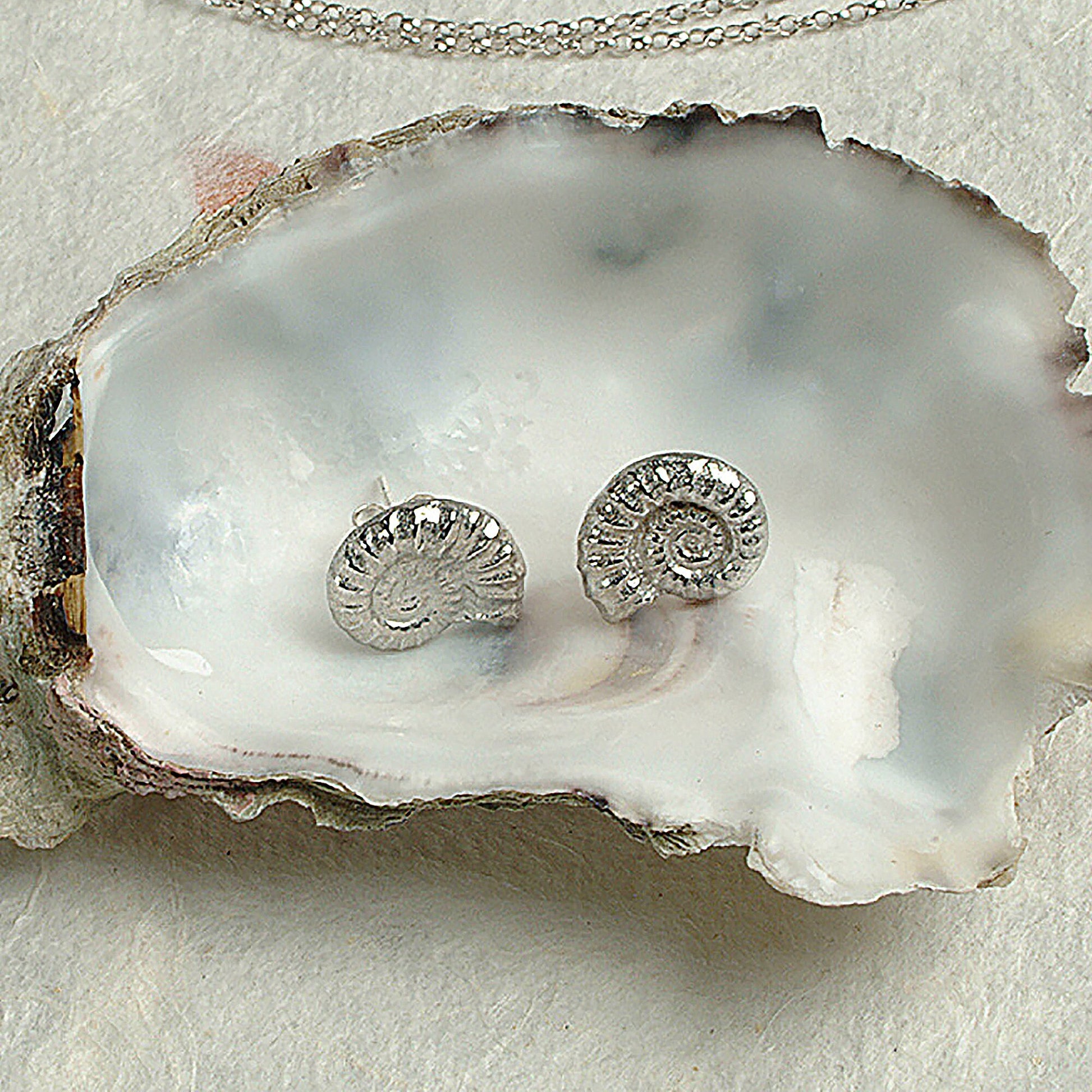 Ammonite Fossil Stud Earrings Jewellery Gifts For Fossil Lovers