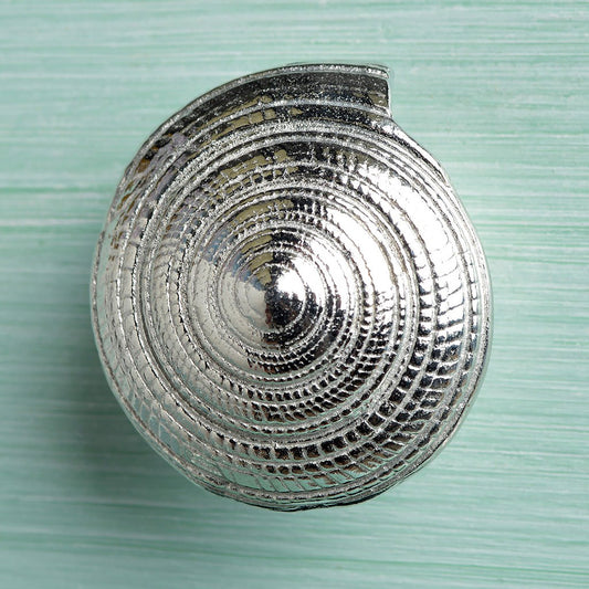 A solid pewter cabinet handle, cupboard knob, furniture handle or drawer pull in the shape of a detailed spiral sea shell. Organic, unusual handles UK handmade with finesse