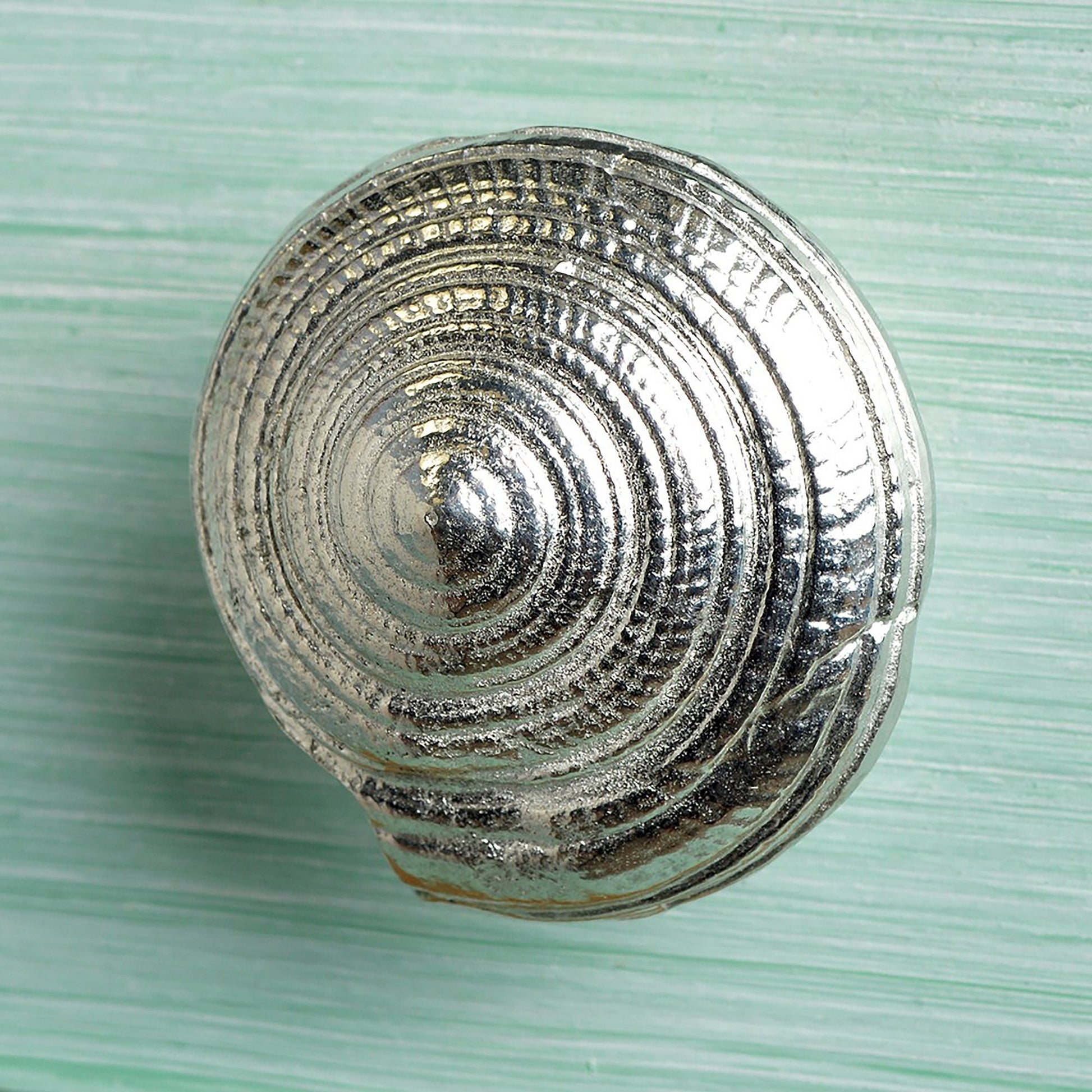 A solid pewter cabinet handle, cupboard knob, furniture handle or drawer pull in the shape of a detailed spiral sea shell. Organic, unusual handles UK handmade with finesse