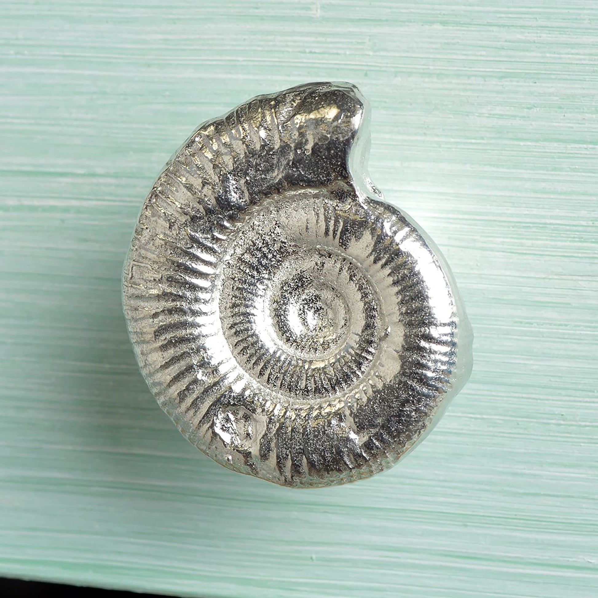 A solid pewter cabinet handle, cupboard knob, furniture handle or drawer pull in the shape of a detailed ammonite fossil. Organic, unusual handles UK handmade with finesse