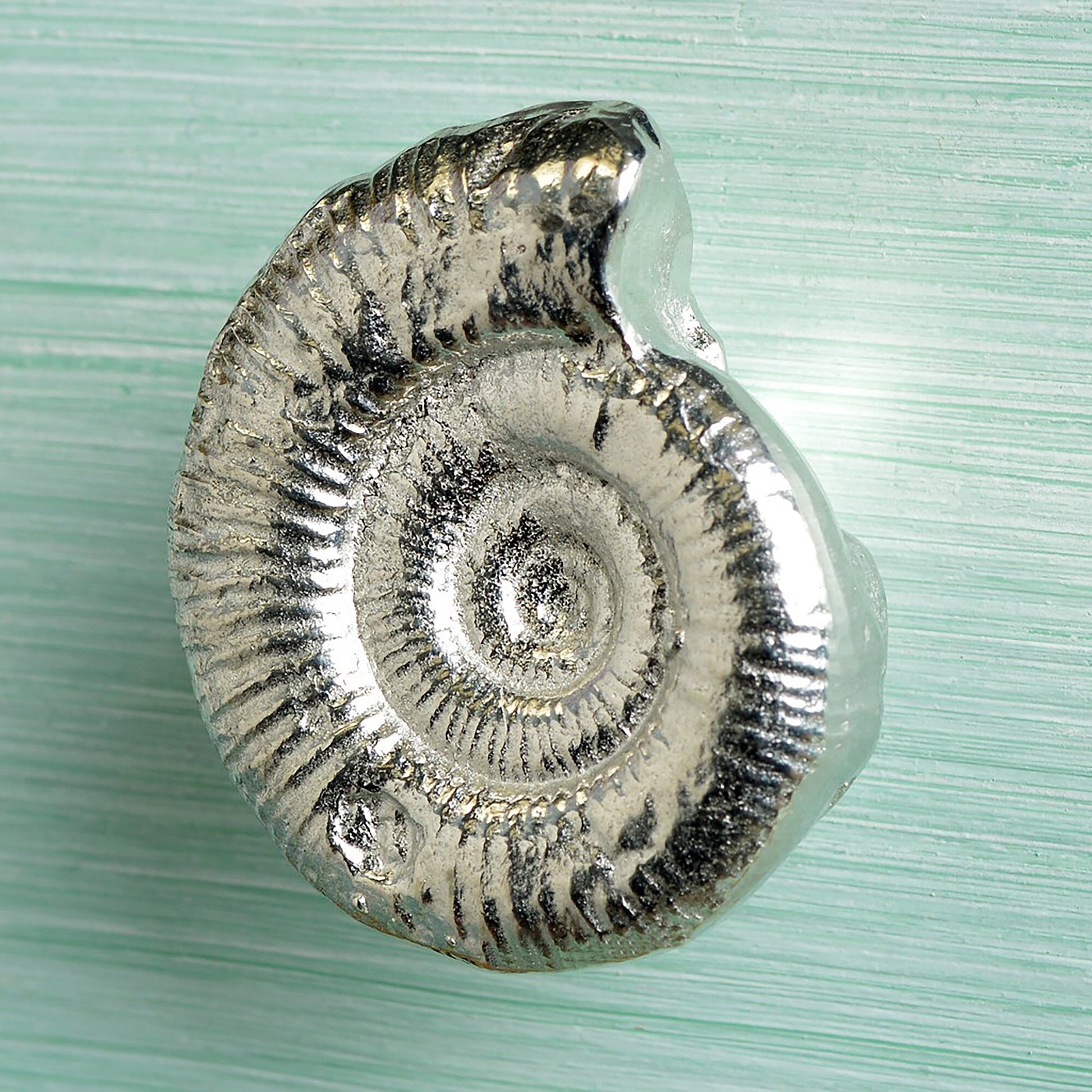 A solid pewter cabinet handle, cupboard knob, furniture handle or drawer pull in the shape of a detailed ammonite fossil. Organic, unusual handles UK handmade with finesse