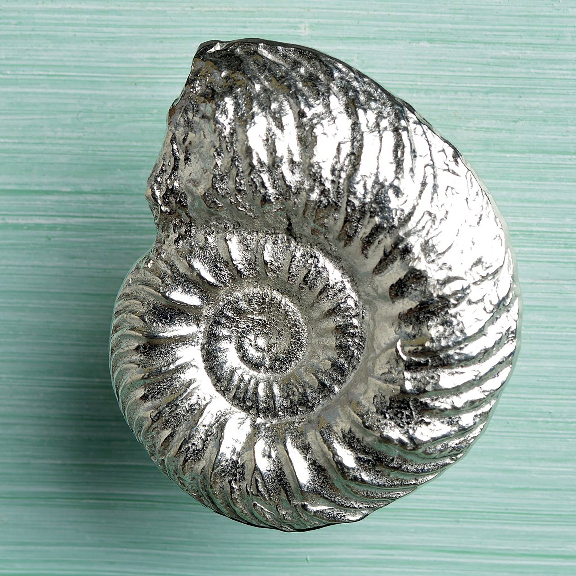 Ammonite Pewter Cabinet handle Large